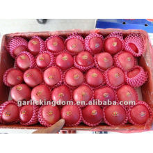 Fuji Apple (cartón de 20kg, 100-113-125PCS)